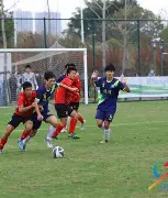 NG体育- 2009年f1揭幕战中获得冠军的车队是 